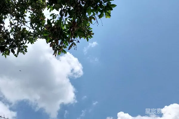 高清摄影 风筝在天空中高高飞翔。