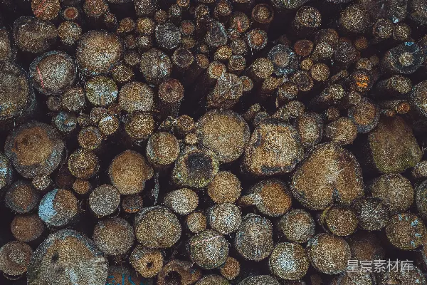 高清摄影 一堆砍好的木头叠在一起。