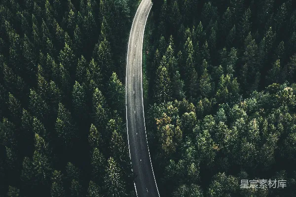 高清摄影 森林中的蜿蜒道路