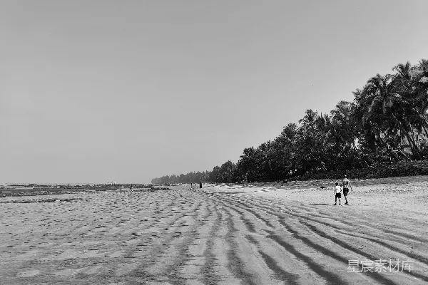 高清摄影 海边散步的黑白风景