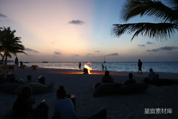 高清摄影 海滩上的篝火晚会