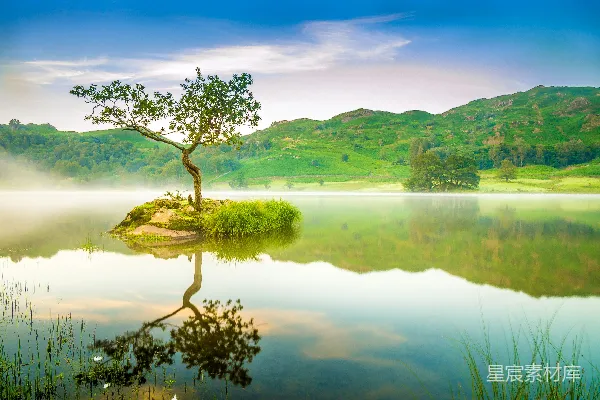 高清摄影 静谧湖畔的孤树