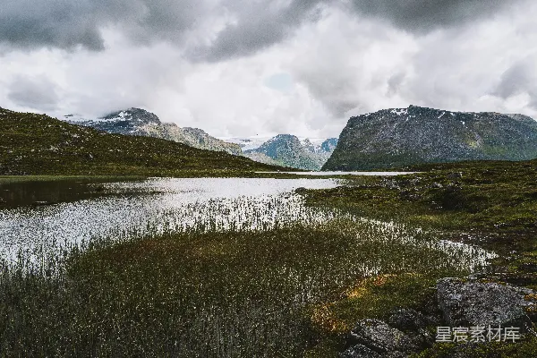 高清摄影 高原湿地的宁静