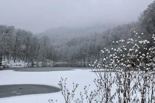 高清摄影 雪中湖畔静谧景致