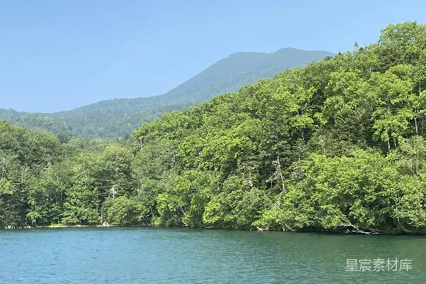 高清摄影 湖畔绿意盎然的宁静风景