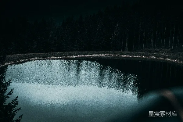 高清摄影 宁静的森林湖景