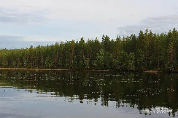 高清摄影 宁静的湖边森林