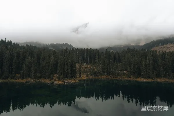 高清摄影 雾中的森林与湖泊