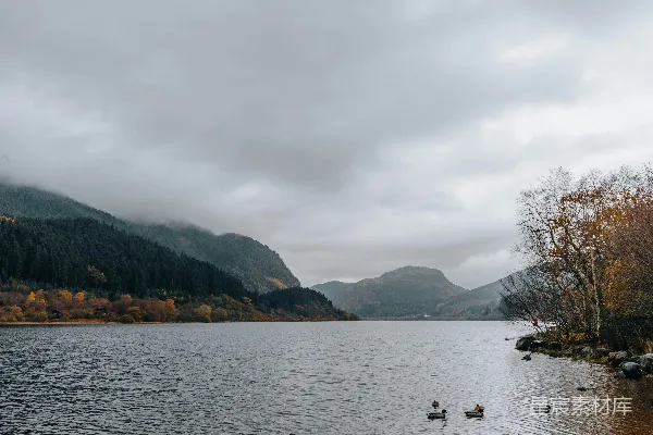高清摄影 湖畔山景与鸭子
