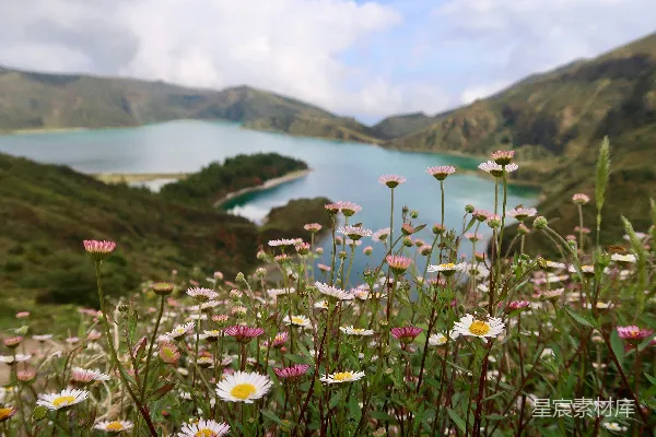 高清摄影 山间花海与湖光山色