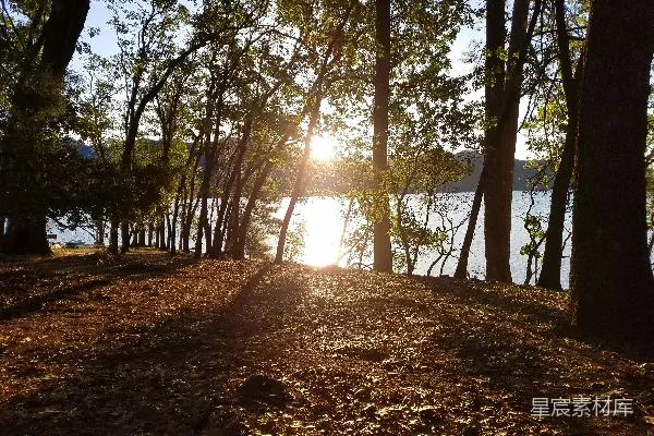 高清摄影 湖畔夕阳