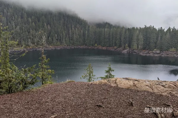 高清摄影 雾中森林与静谧湖景