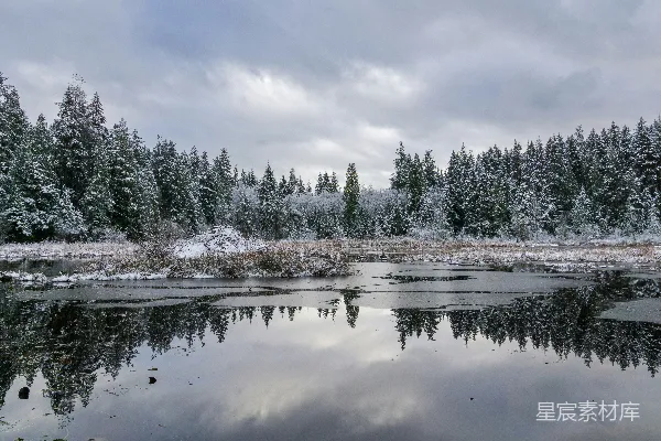 高清摄影 冬日静谧湖畔雪景