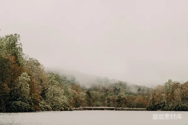 高清摄影 雾中湖畔的宁静