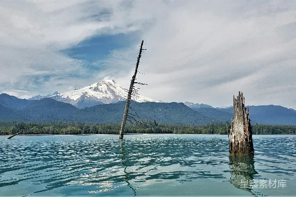 高清摄影 湖畔枯木与雪山
