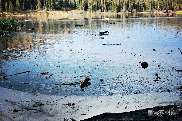 高清摄影 冰封的湖边秋景