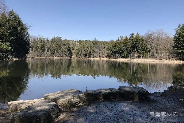 高清摄影 静谧湖畔的自然美景