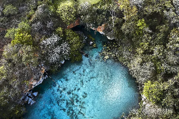 高清摄影 森林深处的神秘水潭