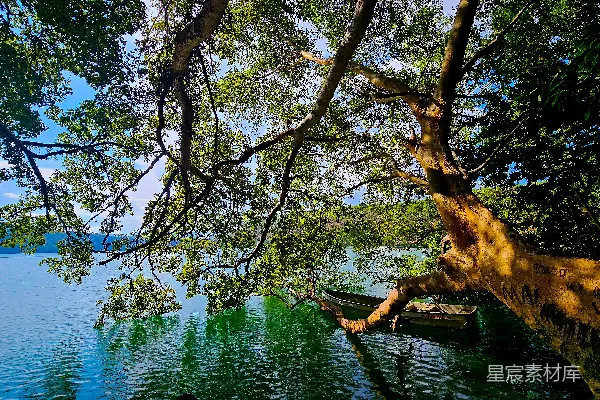 高清摄影 树下静谧的湖畔