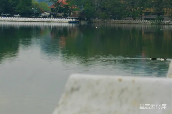 高清摄影 静谧湖畔的宁静时光