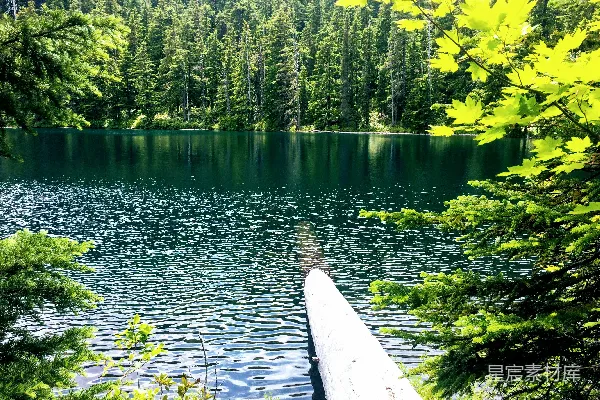 高清摄影 静谧湖畔的自然美景