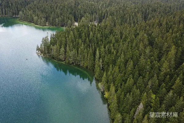 高清摄影 森林中的静谧湖景