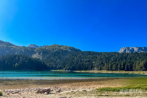 高清摄影 黑湖与青松
