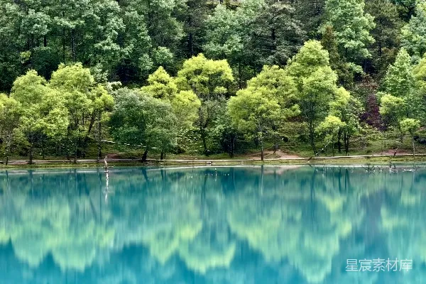 高清摄影 湖畔绿意盎然