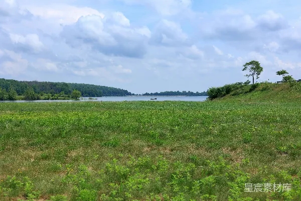 高清摄影 湖畔草地风光