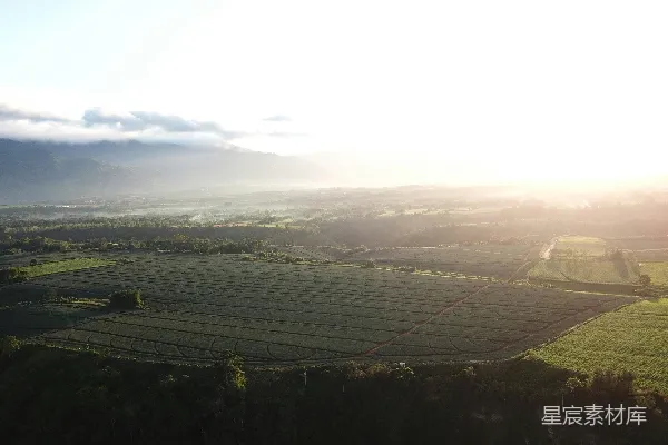 高清摄影 晨光中的稻田与山峦