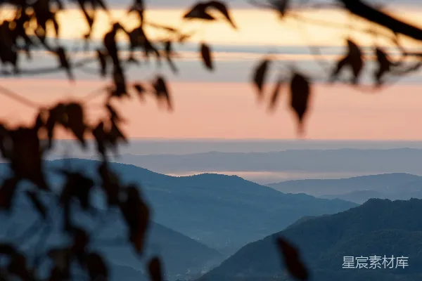 高清摄影 晨曦中的山峦与树叶
