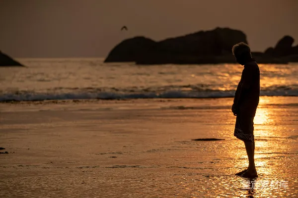 高清摄影 夕阳下的海边漫步