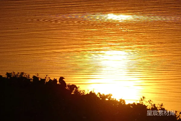 高清摄影 夕阳下的宁静湖面