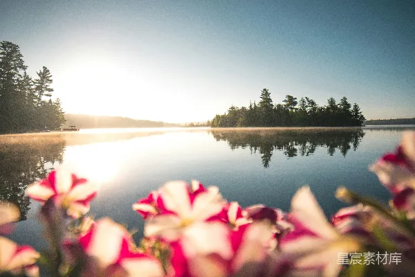 高清摄影 晨光中的宁静湖景