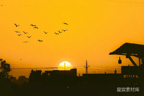 高清摄影 夕阳下的城市剪影