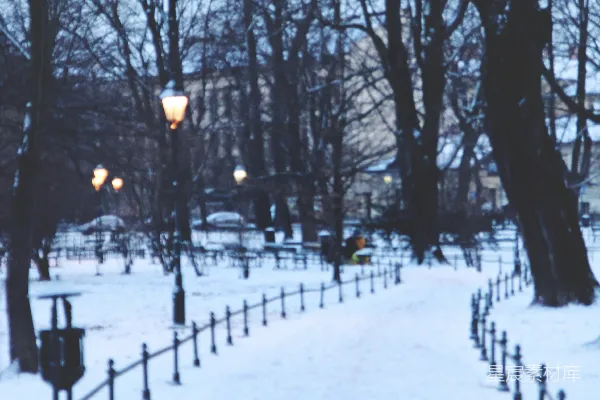 高清摄影 冬日雪景中的幽静小径