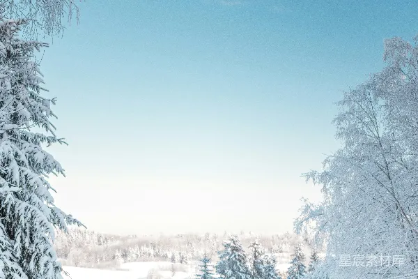 高清摄影 冬日仙境雪景