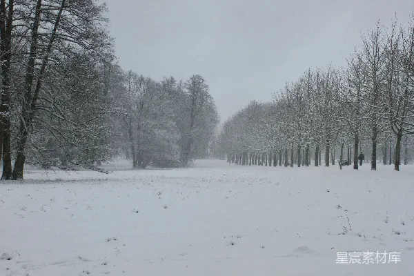 高清摄影 雪中树影下的宁静小径