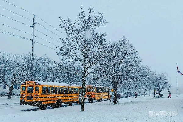 高清摄影 雪中的校车