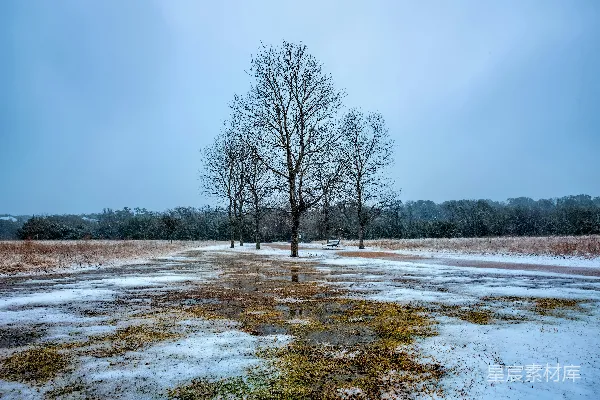 高清摄影 冬日雪景中的宁静公园