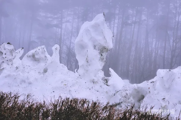 高清摄影 雾中雪堆
