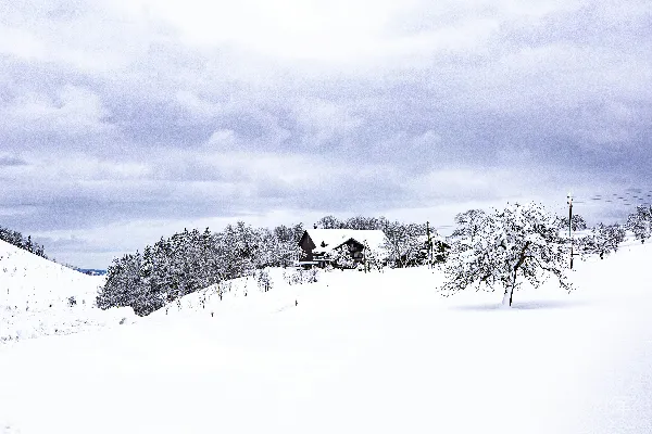 高清摄影 冬日雪景下的宁静小屋