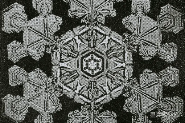 高清摄影 雪花晶体