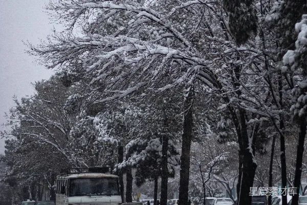 高清摄影 冬日雪景中的街道
