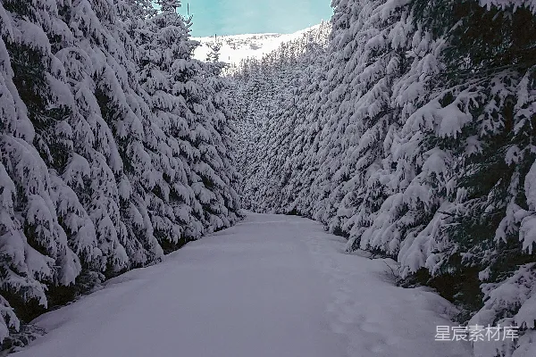 高清摄影 雪后森林小径