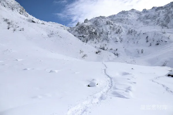 高清摄影 雪地中的足迹