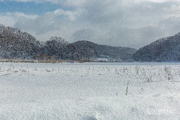 高清摄影 冬日雪景