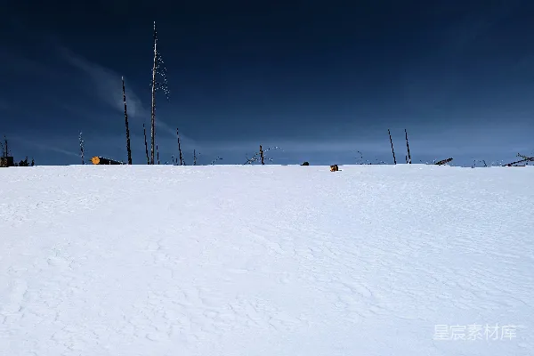高清摄影 雪地静谧