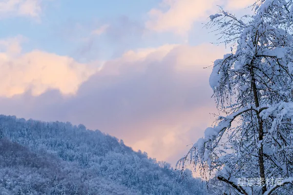 高清摄影 冬日山林雪景
