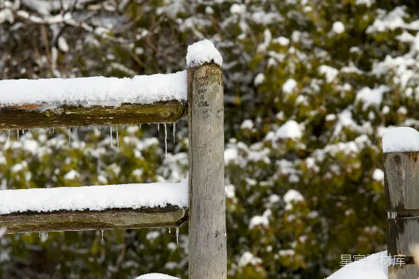 高清摄影 雪地里的木栅栏